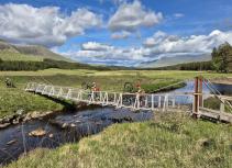 Mountain Bikers on Wooden Bridge